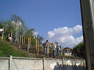 Image07.jpg