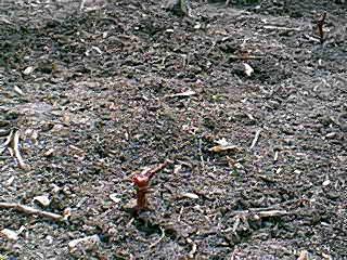 Image13.jpg