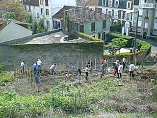 Image29.jpg