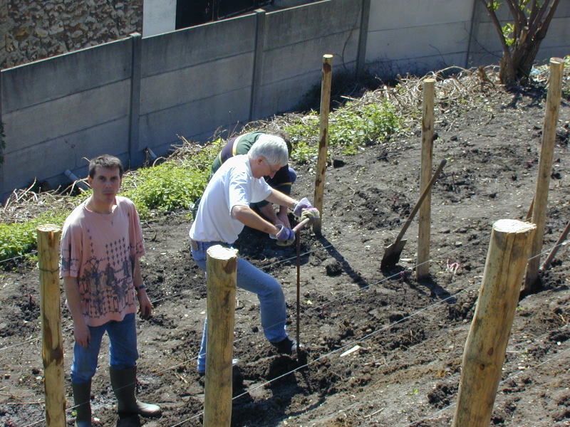 PICT4012.jpg