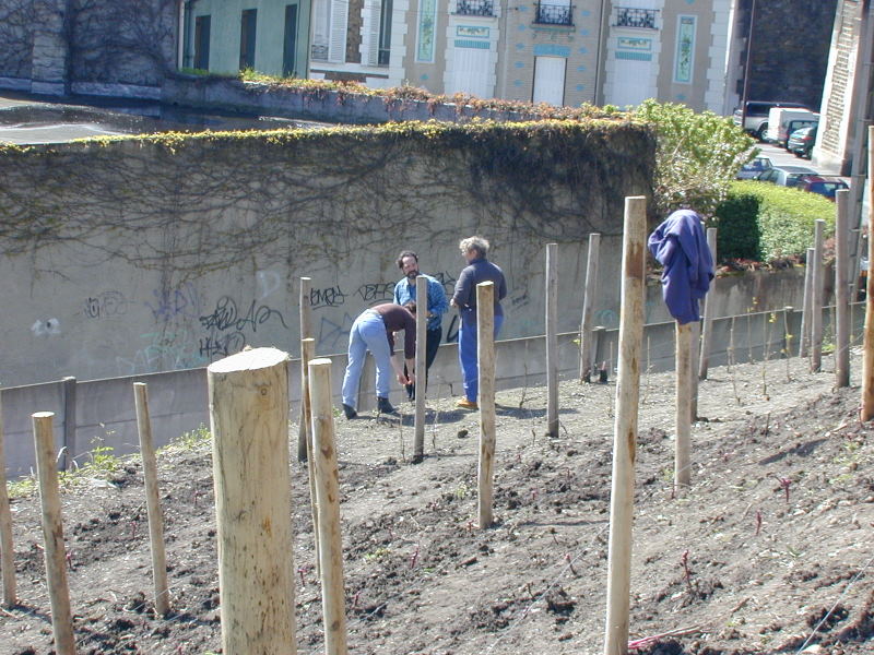 PICT4022.jpg