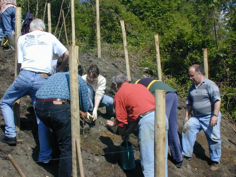 PICT4028.jpg