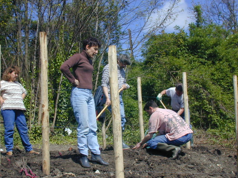 PICT4032.jpg