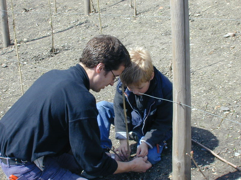 PICT4034.jpg