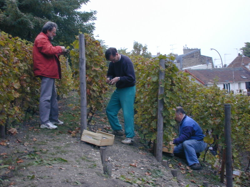 PICT4002.jpg