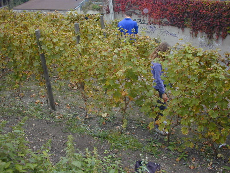 PICT4008.jpg