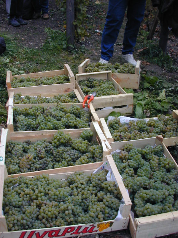 PICT4014.jpg