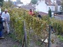 PICT4001