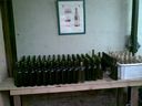 Photo006