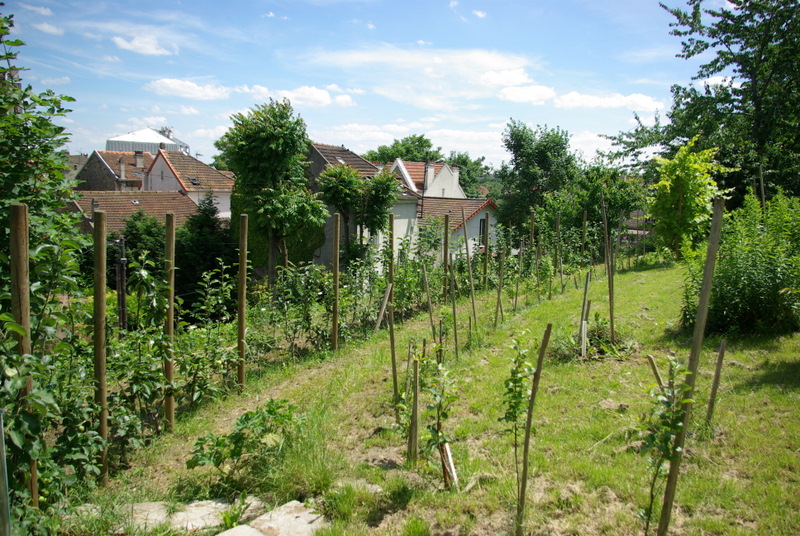 IMGP1221.JPG
