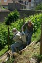 2008-06-Juin a la vigne