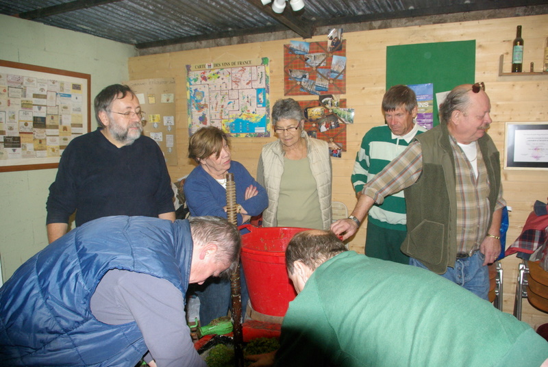 IMGP1419.JPG