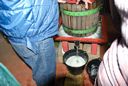 2008-09-Vendanges