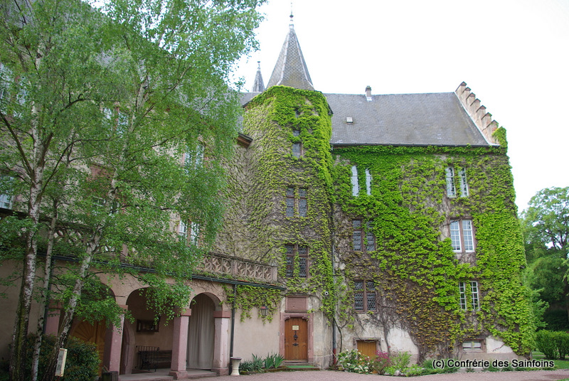 IMGP3029.JPG