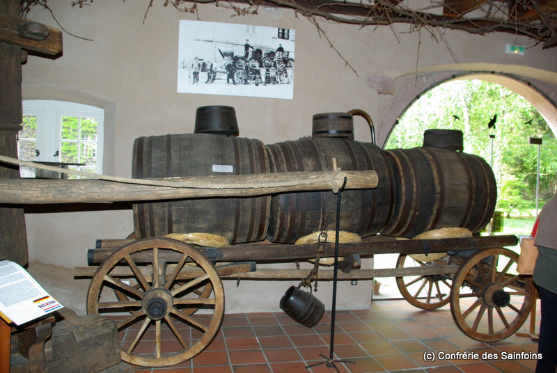 IMGP3034.JPG