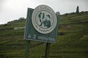 DSC 0215