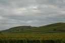 DSC 0259